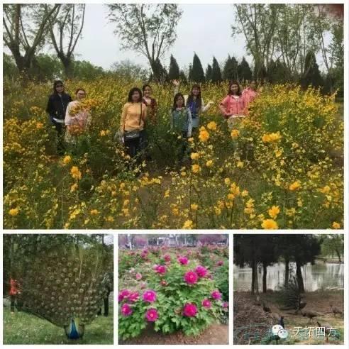 天拓四方拓展活動之---踏青遊園 天拓四方拓展活動之---踏青遊園