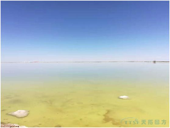 天拓案例：AS 410 DCS控製係統在鹽化工行業中的應用